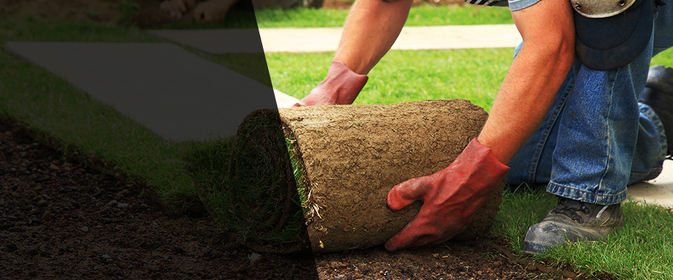 Sedalia Landscapers